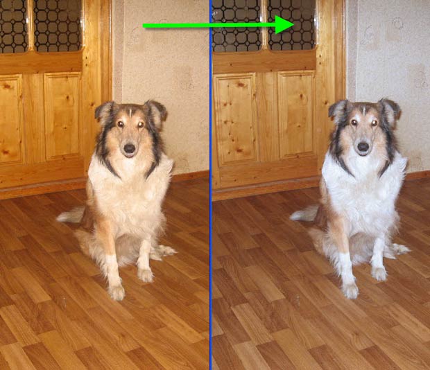 Фото до, и после цветокоррекции фотографии