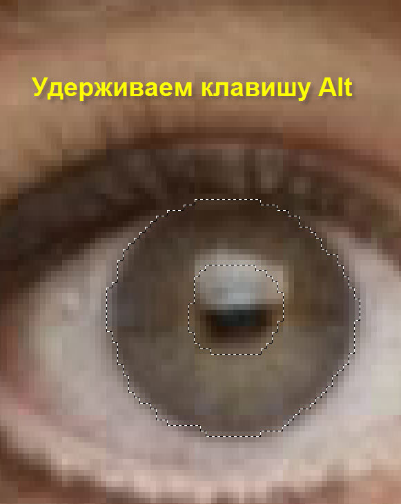 Зрачок левого глаза