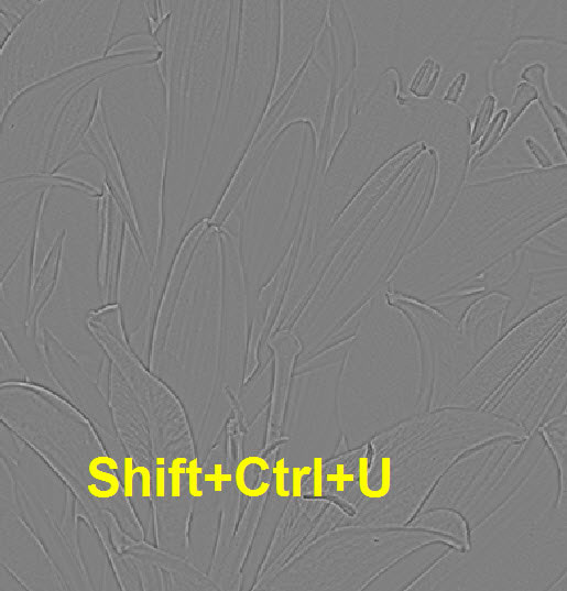 Результат работы фильтра Цветовой контраст Обесцвечиваем изображение - Shift+Ctrl+U
