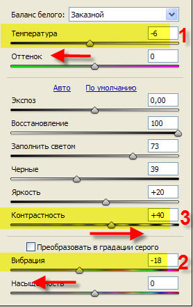 Получаем естественные цвета Ползунки приложения Adobe Camera RAW