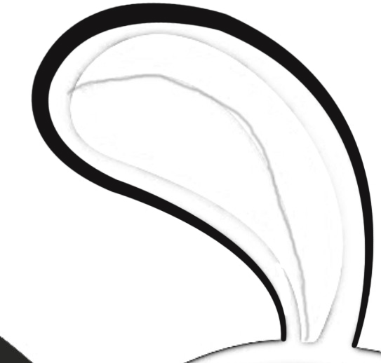 51