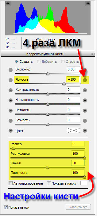 Устанавливаем яркость на +100 Вкладка "Корректирующая кисть"