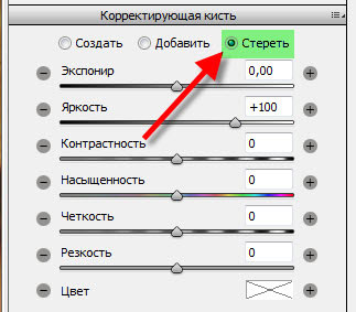 Кнопка "Стереть" Вкладка "Корректирующая кисть"