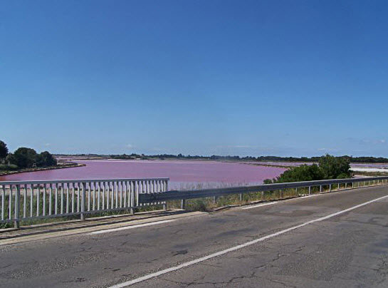 Дорога