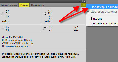 Палитра "Инфо"