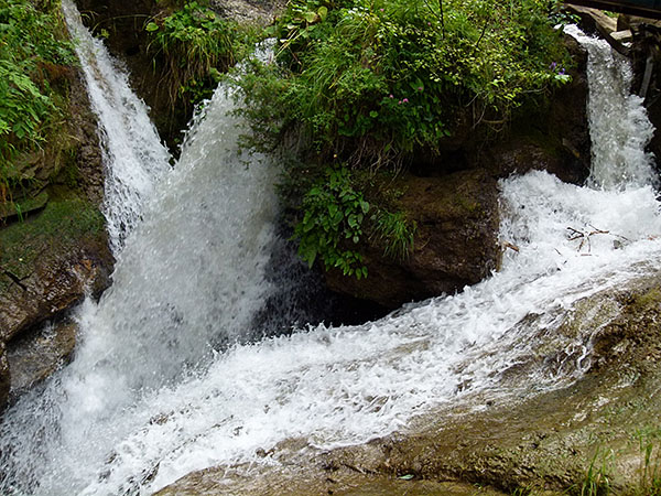 P1070813