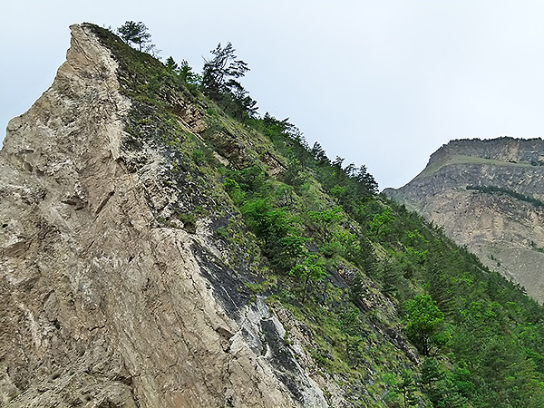 P1060590