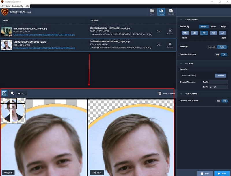 Gigapixel AI 12