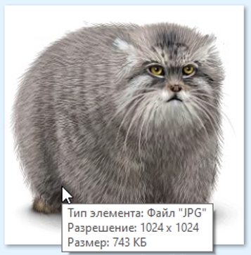 Gigapixel AI 25