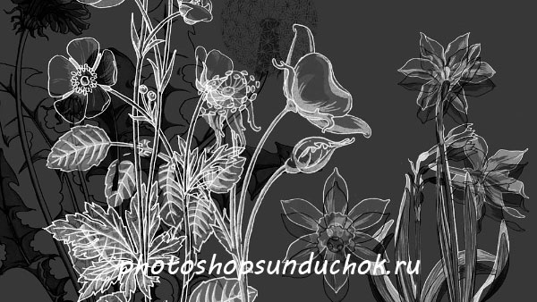Кисти цветов для фотошопа