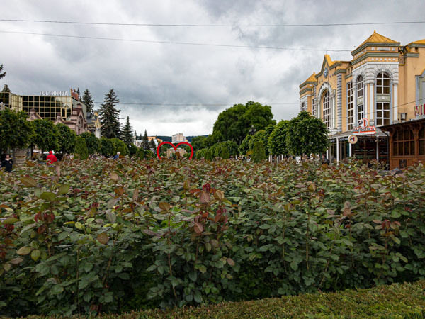 IMG 0383