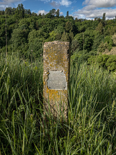 IMG 0404
